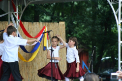 falunap_94_20090709_1999684144