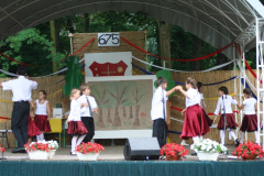 falunap_96_20090709_1868398203