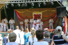 falunap2016009