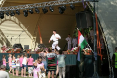 falunap2016015