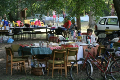 falunap2016016