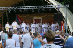 falunap2016024