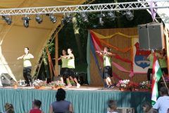 falunap2016029