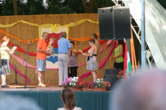 falunap2016037