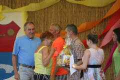 falunap2016039