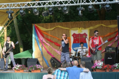 falunap2016044