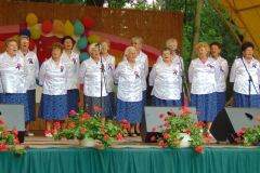 DSC00520