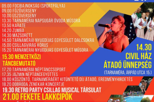 Falunap 2018