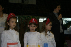 aprajafalva1_20080514_1330919515