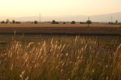 fotopalyazat13_20080719_2046063463