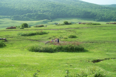 fotopalyazat14_20080719_1877824437
