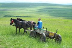 fotopalyazat17_20080719_1755238282