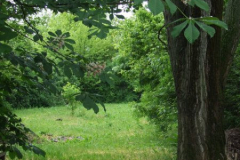 fotopalyazat1_20080719_1041330423