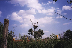 fotopalyazat1_20080719_1050949607