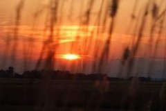 fotopalyazat1_20080719_1085006241