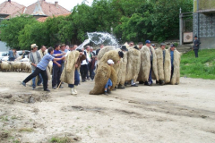 fotopalyazat1_20080719_1635548995