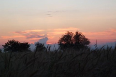 fotopalyazat2_20080719_2029904546