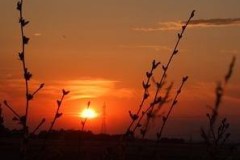 fotopalyazat3_20080719_1129987798