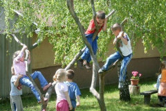 fotopalyazat3_20080719_1541546715