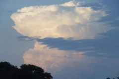 fotopalyazat3_20080719_1597726115