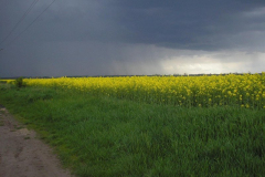 fotopalyazat4_20080719_1579372962