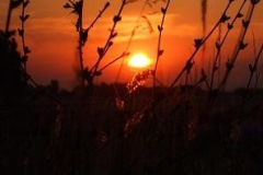 fotopalyazat4_20080719_1686526898