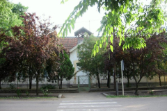 fotopalyazat4_20080719_1712084132