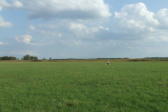 fotopalyazat4_20080719_1856629984