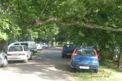 fotopalyazat5_20080719_1253865766