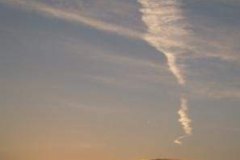 fotopalyazat6_20080719_1245694066
