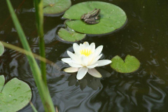 fotopalyazat6_20080719_1426805081