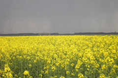 fotopalyazat6_20080719_1475648070