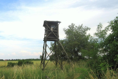 fotopalyazat6_20080719_1933122312