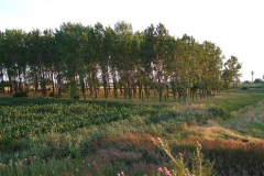 fotopalyazat7_20080719_1733966805