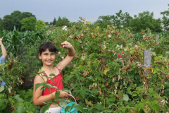 fotopalyazat7_20080719_1927310970