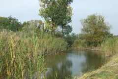 fotopalyazat9_20080719_1296576002