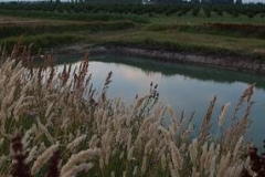 fotopalyazat9_20080719_1416516909