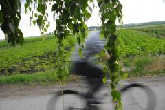 20090626_1043006236_sebesseg