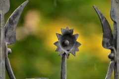 20090626_1110094634_vasvirag
