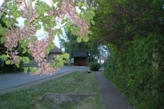 20090626_1204668801_buszmegallo