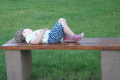 20090626_1209447828_pihenes