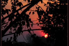 20090626_1210304363_naplemente