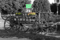 20090626_1285993441_szinek