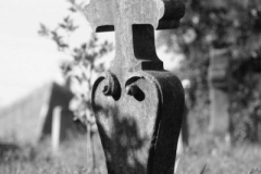 20090626_1332957487_memento