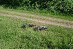 20090626_1408926610_piheno