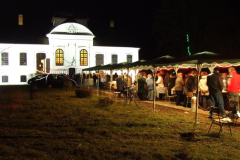 20090626_1480019284_karacsonyi_forgatag