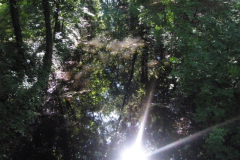 20090626_1508780017_a_strandon