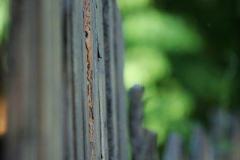 20090626_1512075463_kerites
