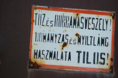 20090626_1592406981_tuzveszely
