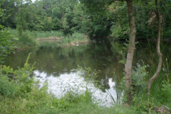 20090626_1770838578_a_kastelykertben